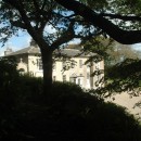 Ballytrent through the trees.
