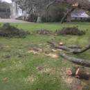 A Cedar tree lost on Sunday 29th April 2012 on the front lawn.