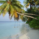 Maldive beach.