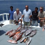 Good mornings catch of dogtooth tuna, rose jobfish & amberjack