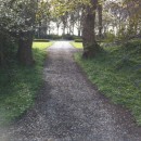 Path to centre